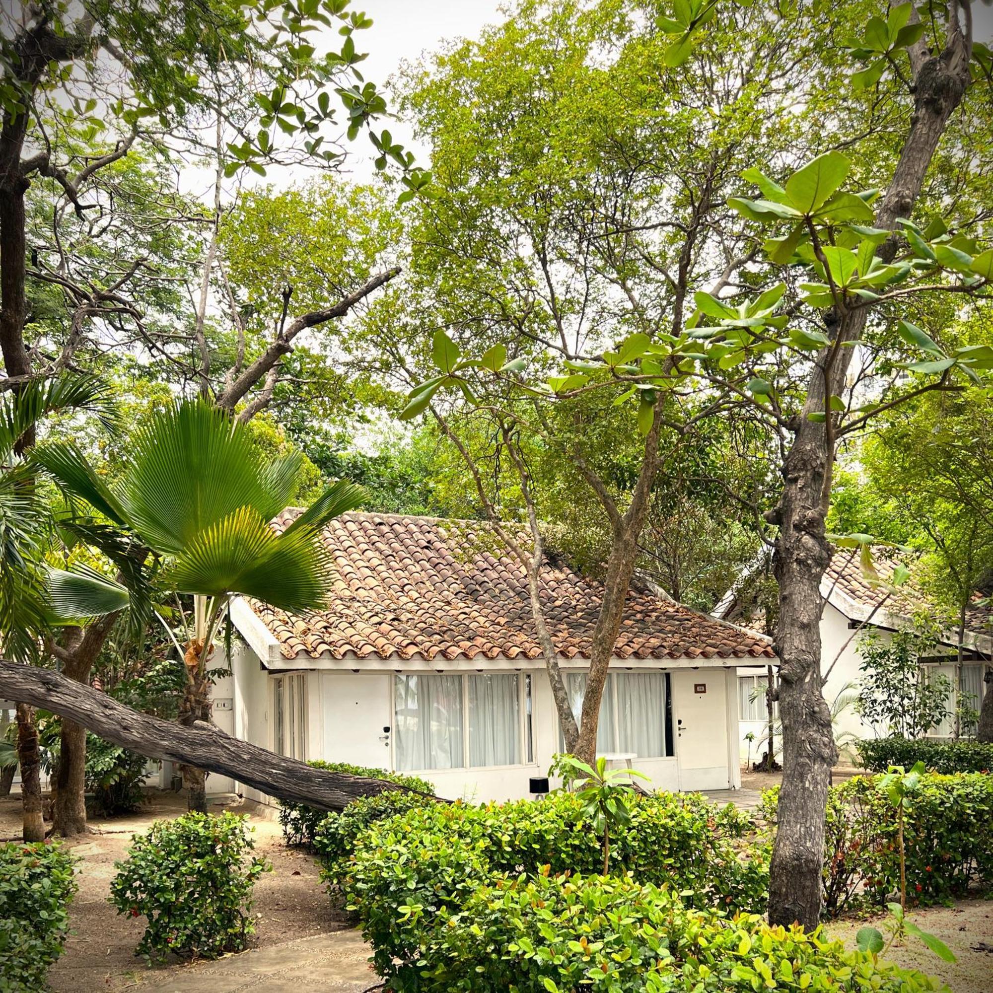 Hotel Irotama Bungalows & Bohios Santa Marta  Exteriör bild